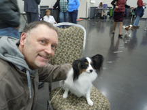 Dog Clubs and Dog Shows